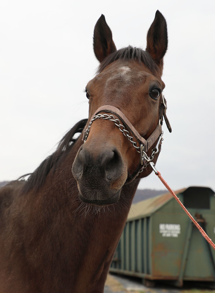 PA-WarriorsWayOut-10