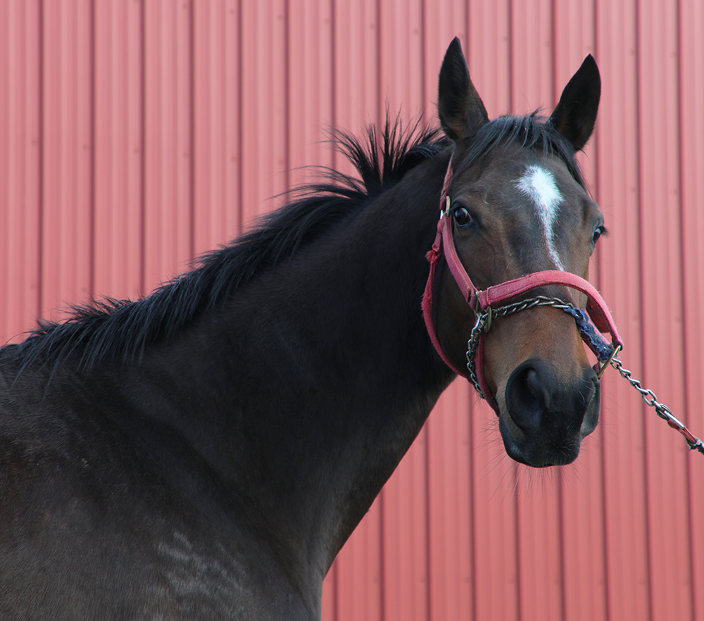 PA-PrussianBlue-9