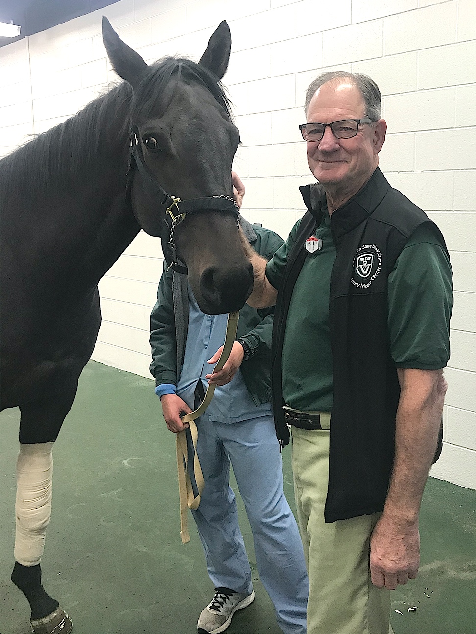 El Jake O w Dr Nickels and vet student