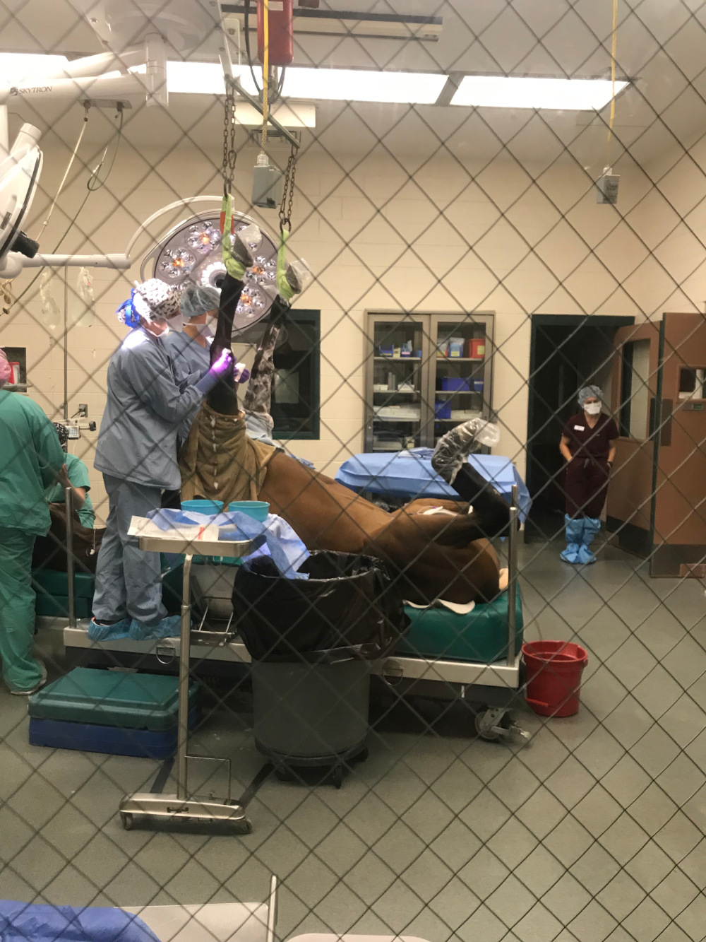 Touchdown Jesus MSU Surgery 3 (1)