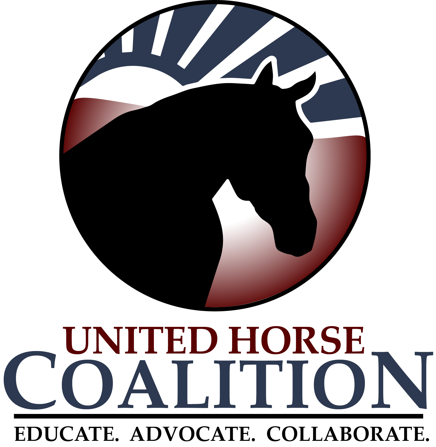 UHCNLogo2019.RWB.transparent